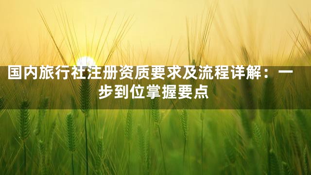 国内旅行社注册资质要求及流程详解：一步到位掌握要点