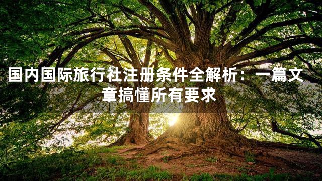国内国际旅行社注册条件全解析：一篇文章搞懂所有要求