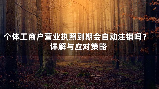 个体工商户营业执照到期会自动注销吗？详解与应对策略