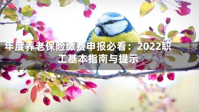 年度养老保险缴费申报必看：2022职工基本指南与提示