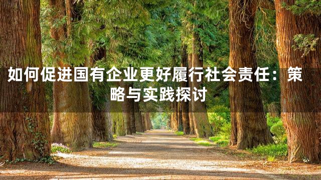 如何促进国有企业更好履行社会责任：策略与实践探讨