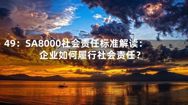 49：SA8000社会责任标准解读：企业如何履行社会责任？