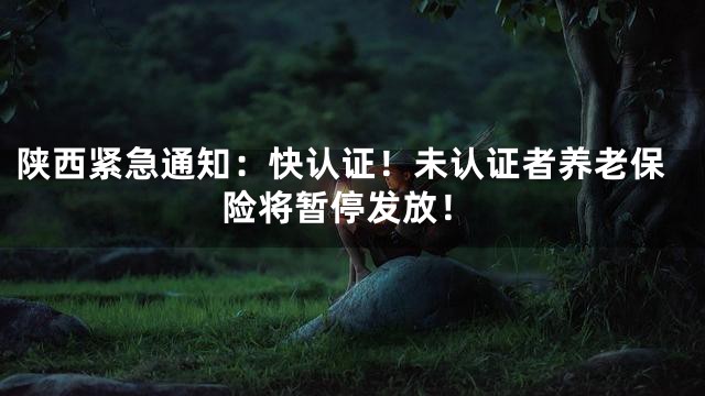 陕西紧急通知：快认证！未认证者养老保险将暂停发放！