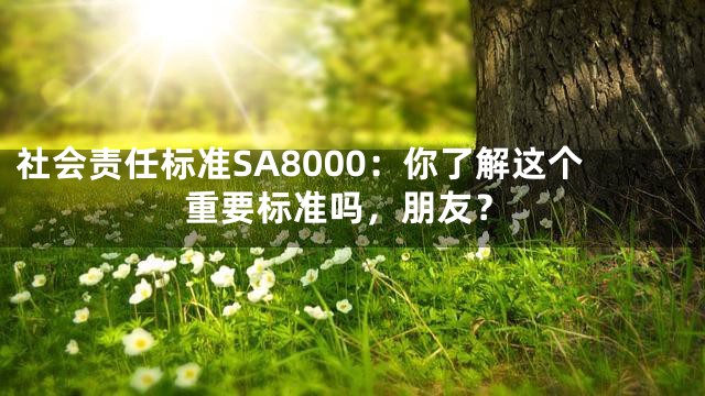 社会责任标准SA8000：你了解这个重要标准吗，朋友？