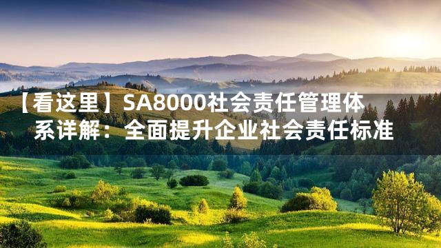 【看这里】SA8000社会责任管理体系详解：全面提升企业社会责任标准
