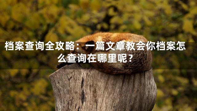 档案查询全攻略：一篇文章教会你档案怎么查询在哪里呢？