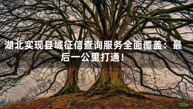 湖北实现县域征信查询服务全面覆盖：最后一公里打通！