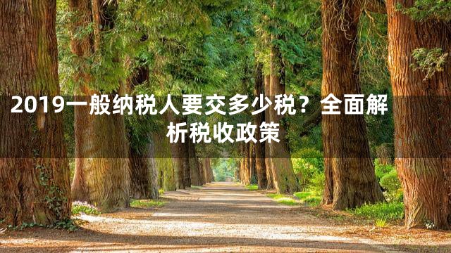 2019一般纳税人要交多少税？全面解析税收政策