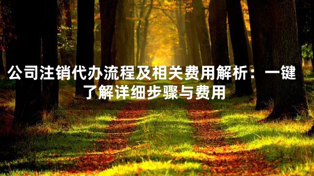 公司注销代办流程及相关费用解析：一键了解详细步骤与费用
