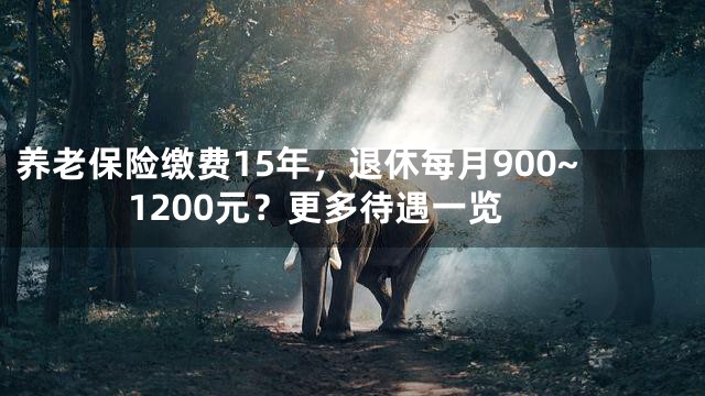 养老保险缴费15年，退休每月900~1200元？更多待遇一览