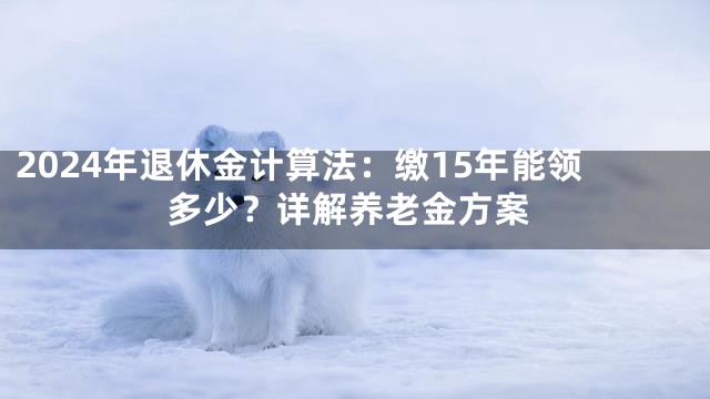2024年退休金计算法：缴15年能领多少？详解养老金方案
