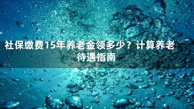 社保缴费15年养老金领多少？计算养老待遇指南