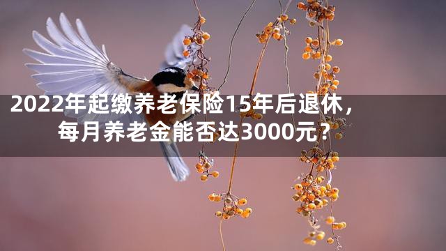 2022年起缴养老保险15年后退休，每月养老金能否达3000元？