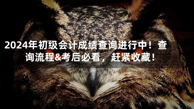 2024年初级会计成绩查询进行中！查询流程&考后必看，赶紧收藏！