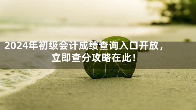 2024年初级会计成绩查询入口开放，立即查分攻略在此！