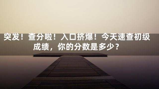 突发！查分啦！入口挤爆！今天速查初级成绩，你的分数是多少？