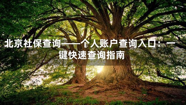 北京社保查询——个人账户查询入口：一键快速查询指南