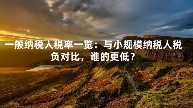 一般纳税人税率一览：与小规模纳税人税负对比，谁的更低？