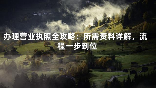 办理营业执照全攻略：所需资料详解，流程一步到位