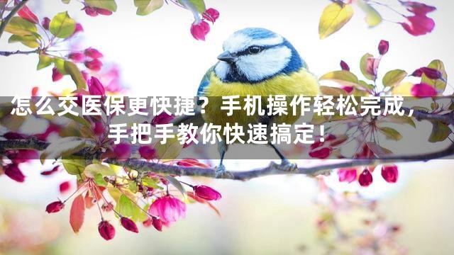 怎么交医保更快捷？手机操作轻松完成，手把手教你快速搞定！