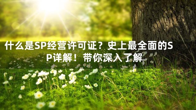 什么是SP经营许可证？史上最全面的SP详解！带你深入了解