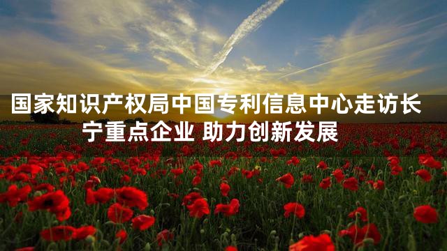 国家知识产权局中国专利信息中心走访长宁重点企业 助力创新发展