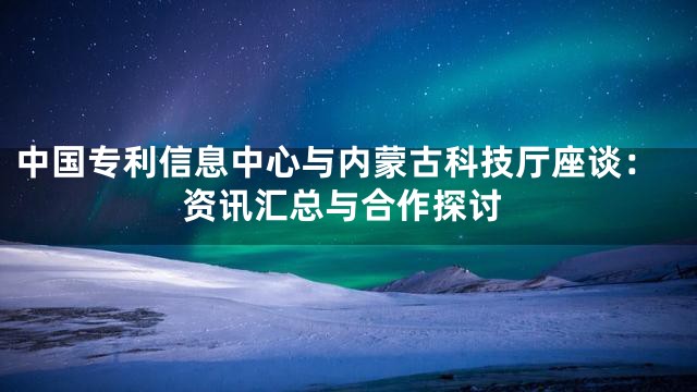 中国专利信息中心与内蒙古科技厅座谈：资讯汇总与合作探讨