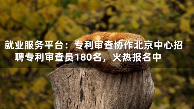 就业服务平台：专利审查协作北京中心招聘专利审查员180名，火热报名中