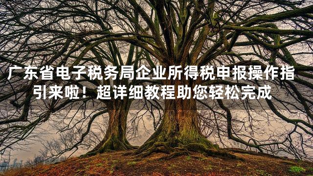 广东省电子税务局企业所得税申报操作指引来啦！超详细教程助您轻松完成