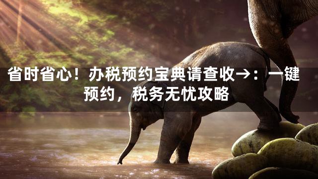 省时省心！办税预约宝典请查收→：一键预约，税务无忧攻略