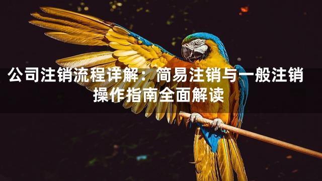 公司注销流程详解：简易注销与一般注销操作指南全面解读