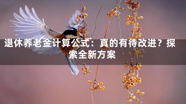 退休养老金计算公式：真的有待改进？探索全新方案