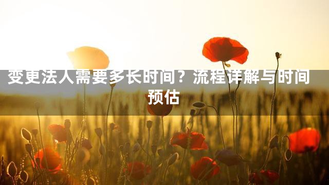 变更法人需要多长时间？流程详解与时间预估