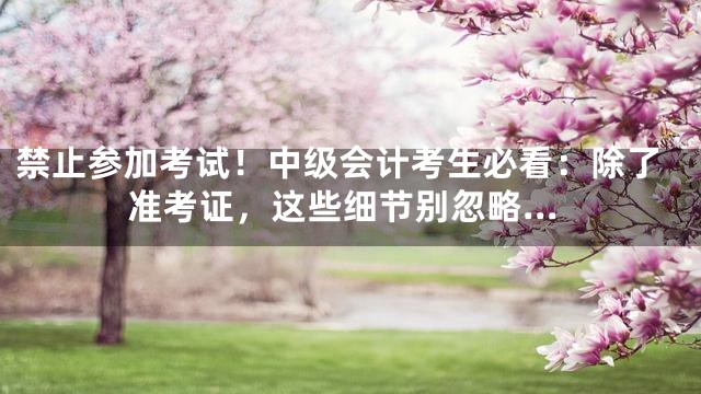 禁止参加考试！中级会计考生必看：除了准考证，这些细节别忽略…