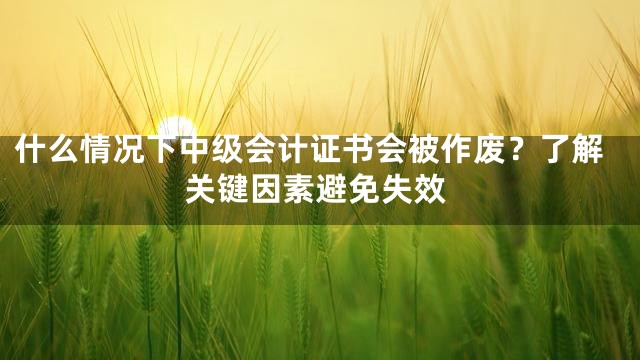 什么情况下中级会计证书会被作废？了解关键因素避免失效