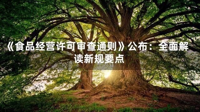 《食品经营许可审查通则》公布：全面解读新规要点