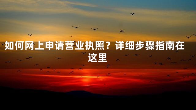 如何网上申请营业执照？详细步骤指南在这里