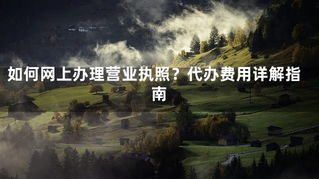 如何网上办理营业执照？代办费用详解指南