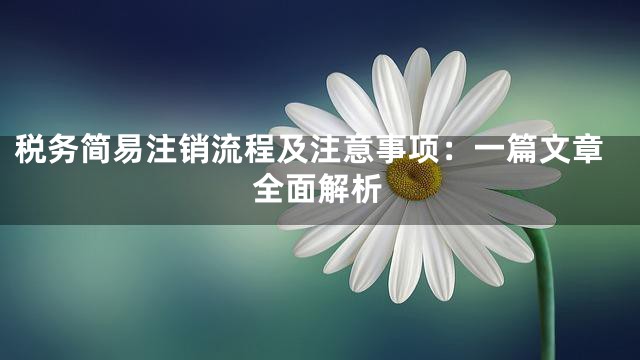 税务简易注销流程及注意事项：一篇文章全面解析