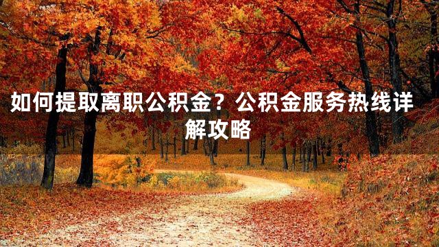如何提取离职公积金？公积金服务热线详解攻略