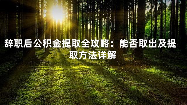 辞职后公积金提取全攻略：能否取出及提取方法详解