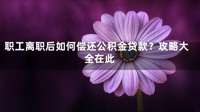 职工离职后如何偿还公积金贷款？攻略大全在此