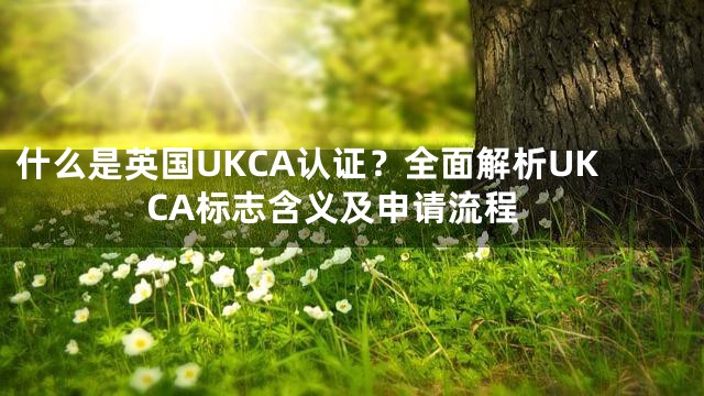 什么是英国UKCA认证？全面解析UKCA标志含义及申请流程