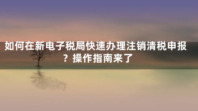 如何在新电子税局快速办理注销清税申报？操作指南来了