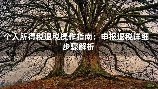 个人所得税退税操作指南：申报退税详细步骤解析