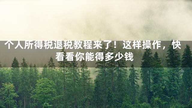 个人所得税退税教程来了！这样操作，快看看你能得多少钱
