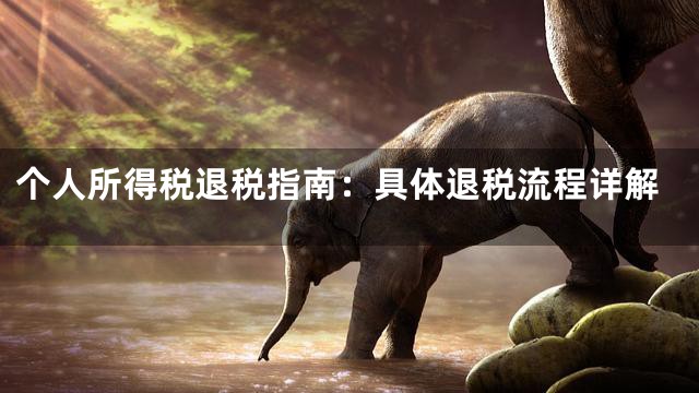 个人所得税退税指南：具体退税流程详解