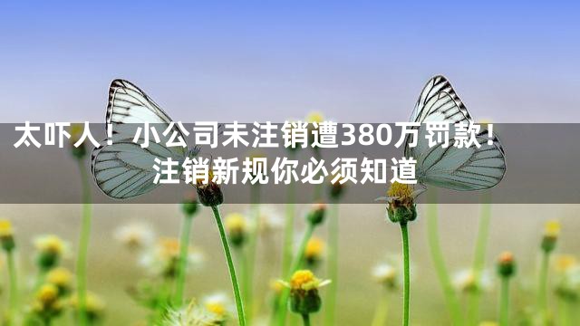 太吓人！小公司未注销遭380万罚款！注销新规你必须知道