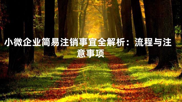 小微企业简易注销事宜全解析：流程与注意事项