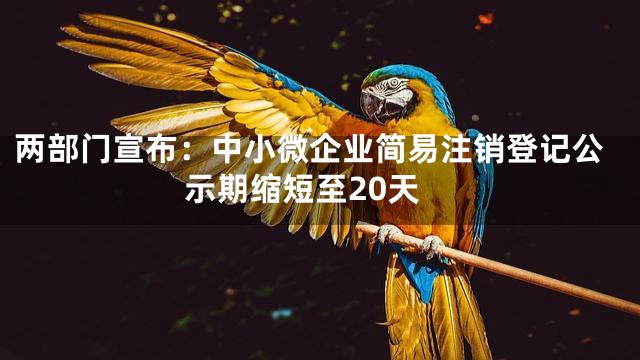 两部门宣布：中小微企业简易注销登记公示期缩短至20天